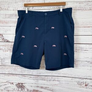 BFLO The Buffalo Store Blue Pink Embroidered Buffalo Chino Shorts